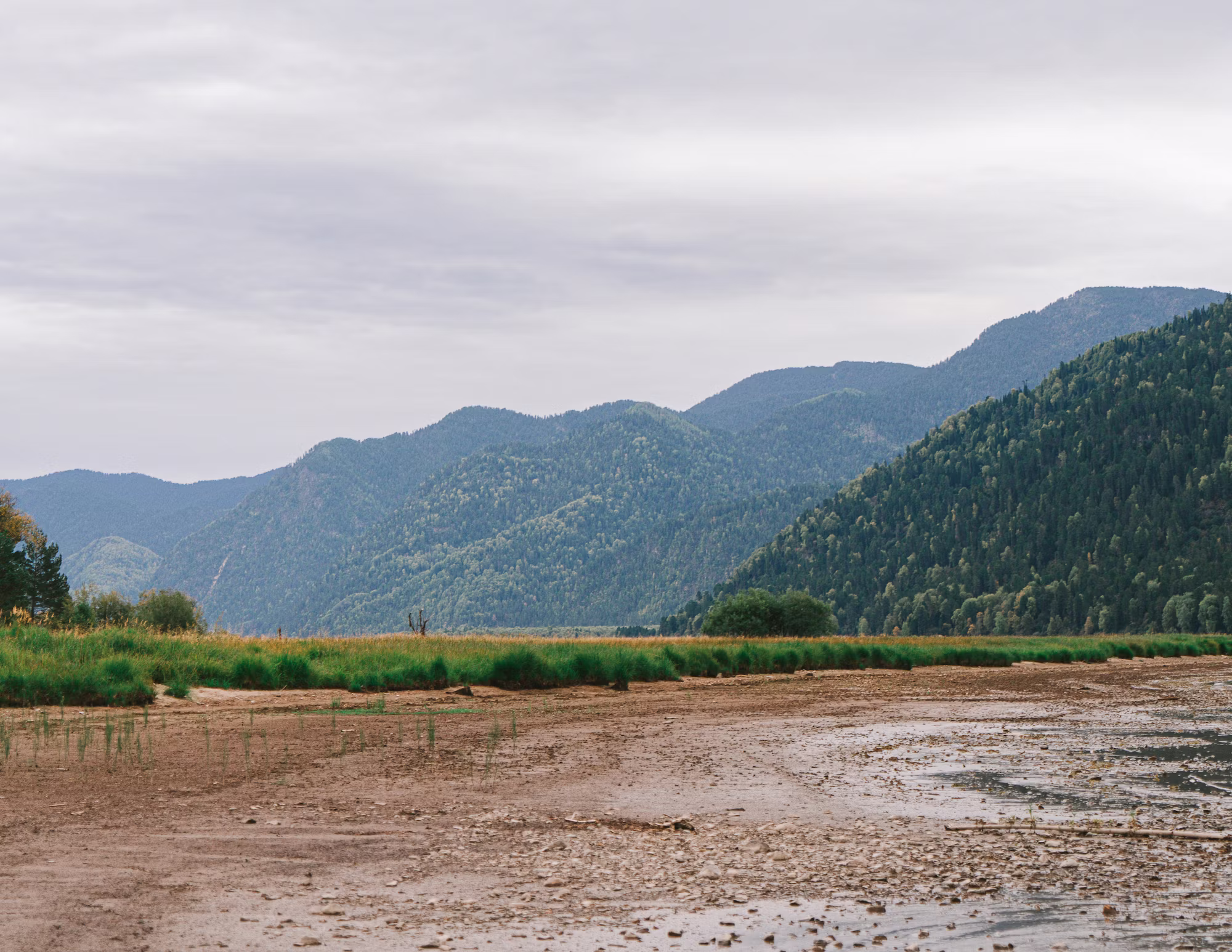ソロキャンプの楽しさを探求: あなただけのアウトドアアドベンチャーへのガイド