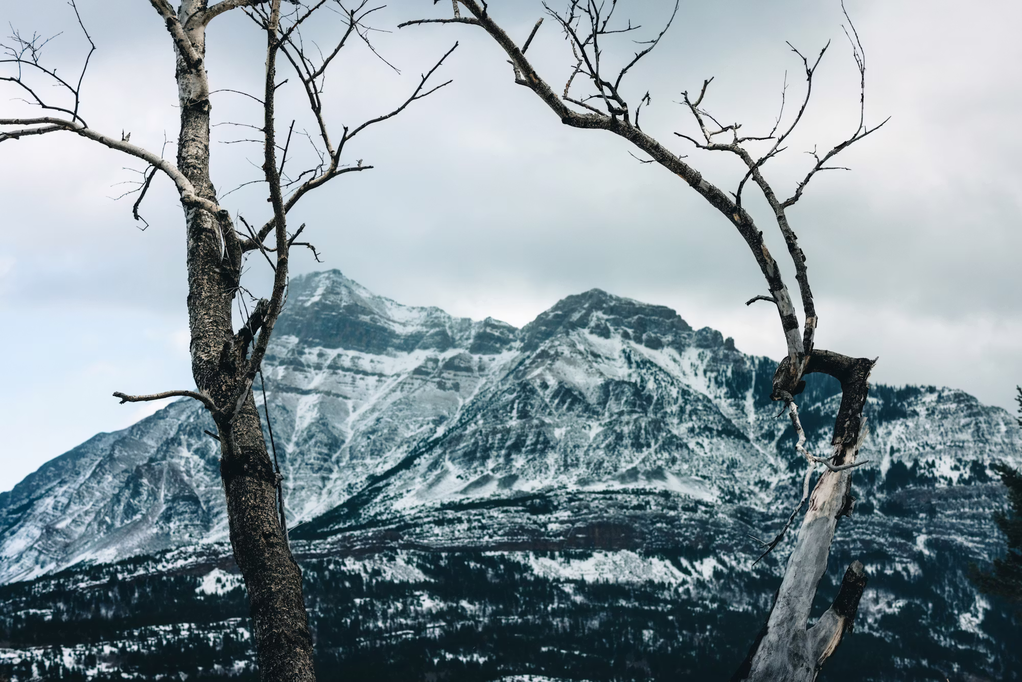 ハイキングの究極のガイド：トレイル、ヒント、テクニック